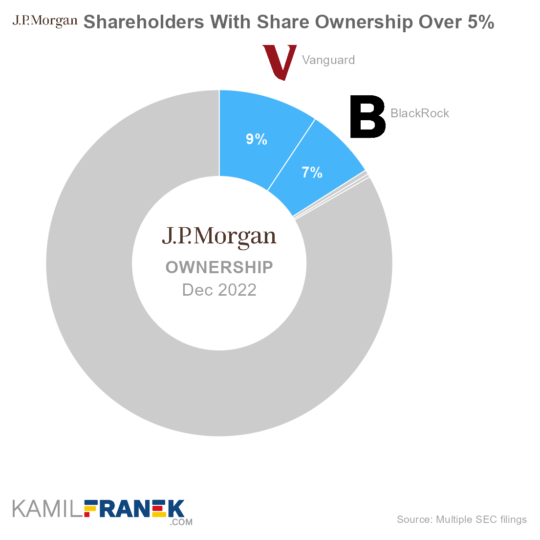Who owns JPMorgan Chase, largest shareholders donut chart