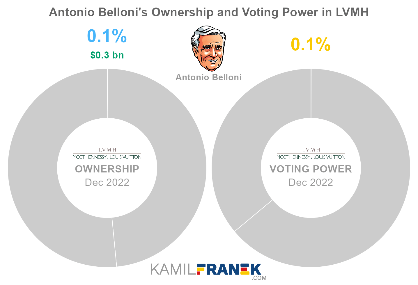 Who Owns LVMH: The Largest Shareholders Overview - KAMIL FRANEK