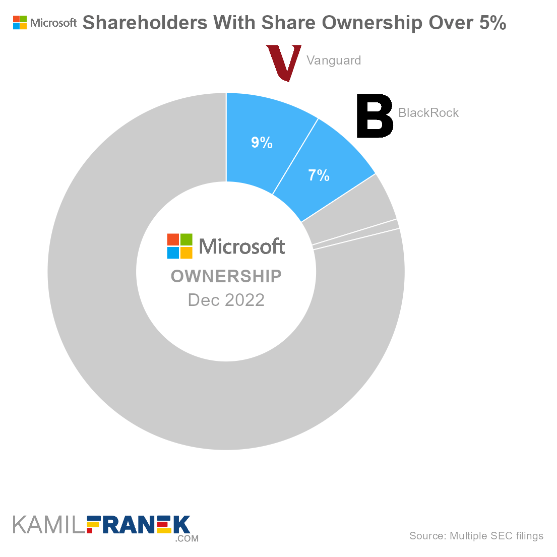 Who owns Microsoft, largest shareholders donut chart