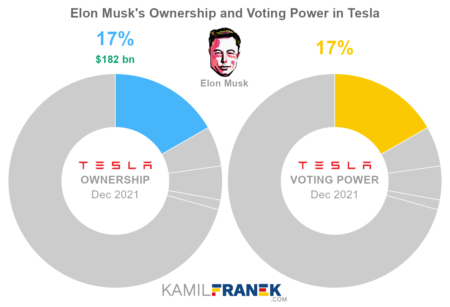Tesla largest shareholders share ownership vs vote control chart