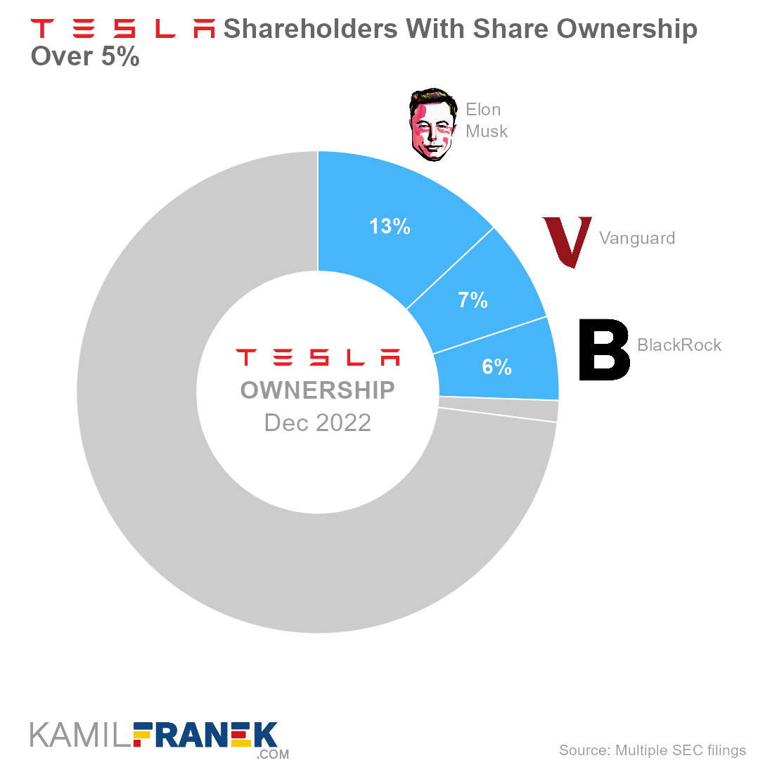 Who owns Tesla, largest shareholders donut chart