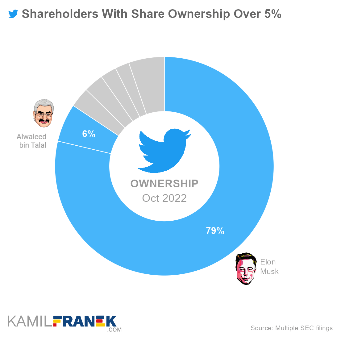 Twitter largest shareholders by share ownership and vote control (donut chart)