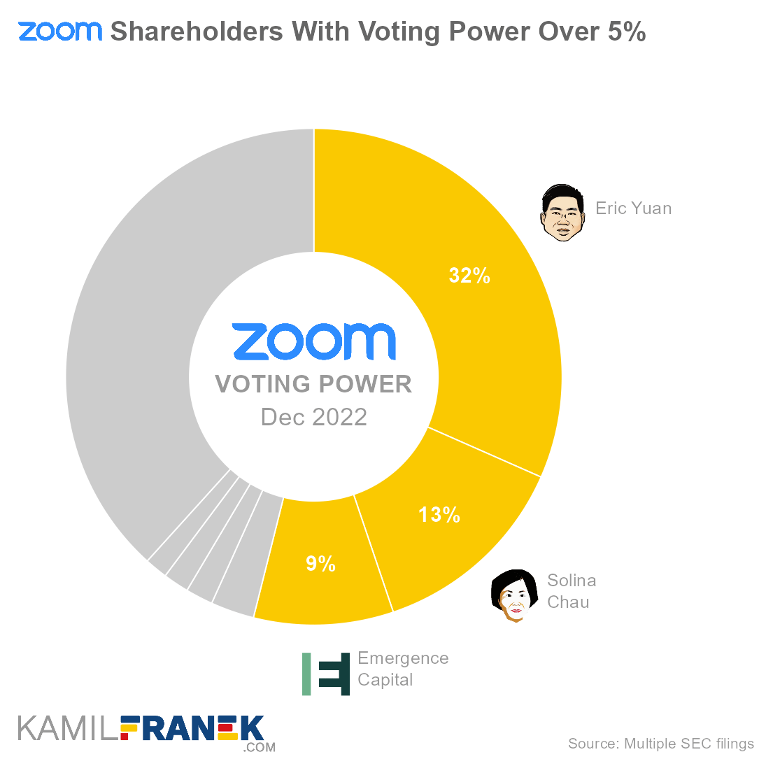 Who controls Zoom, largest shareholders donut chart